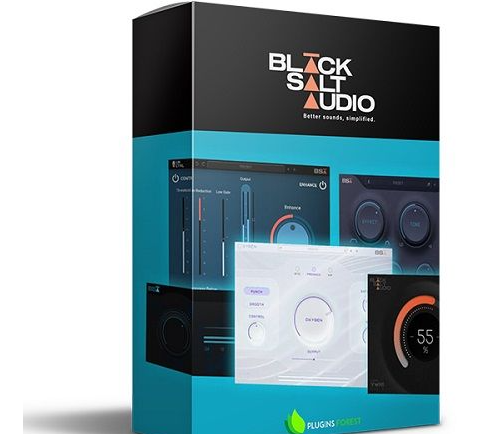 Black Salt Audio 完整捆绑包 [16.02.2024] – 插件包 WIN-YU158-音频制作系统办公资源