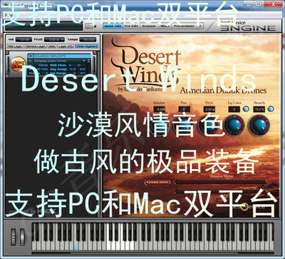 Desert.Winds 沙漠风情音色 古风编曲必备 Windows/MacOS-YU158-音频制作系统办公资源