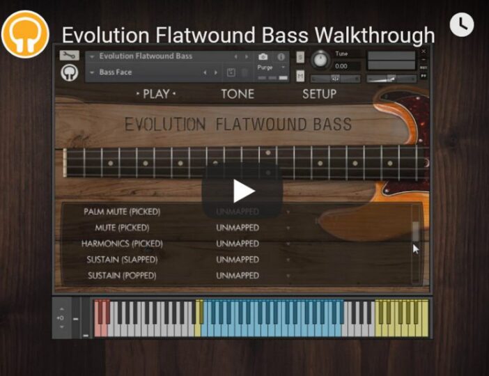 Orange Tree Samples Evolution Flatwound Bass复古电贝司 康泰克音色 Windows/MacOS-YU158-音频制作系统办公资源