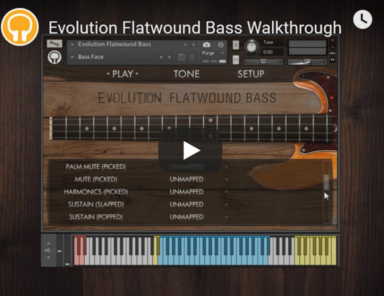 Orange Tree Samples Evolution Flatwound Bass复古电贝司 康泰克音色 Windows/MacOS-YU158-音频制作系统办公资源