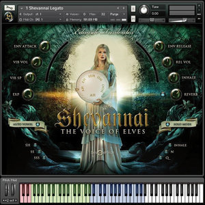 精灵物语 Best Service Shevannai the Voices of Elves 康泰克音色 Win/MacOS-YU158-音频制作系统办公资源