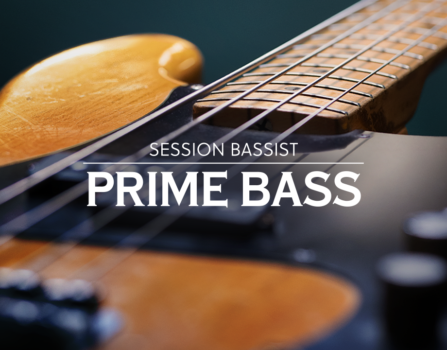 芬达电贝斯节奏音色库 Native Instruments Session Bassist Prime Bass v1.0.1 KONTAKT-YU158-音频制作系统办公资源