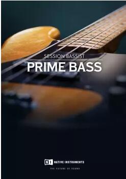 Native Instruments Session Bassist Prime Bass v1.0.2 KONTAKT-YU158-音频制作系统办公资源