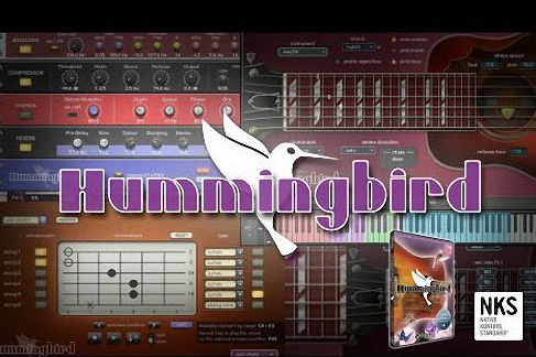 Prominy Hummingbird v1.26 （仅更新）KONTAKT 木吉他-YU158-音频制作系统办公资源
