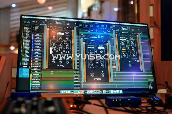  Moog Music Plugins Bundle 2024-R2R WiN-YU158-音频制作系统办公资源