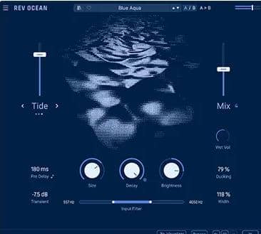 Arturia Rev OCEAN v1.0.0 5848 U2B Mac-YU158-音频制作系统办公资源